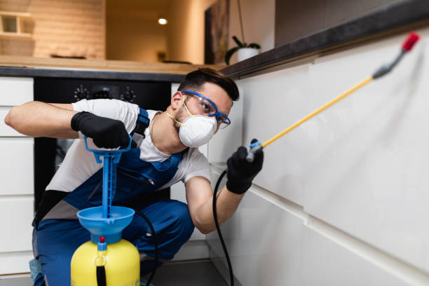  Lewistown, IL Pest Control Pros