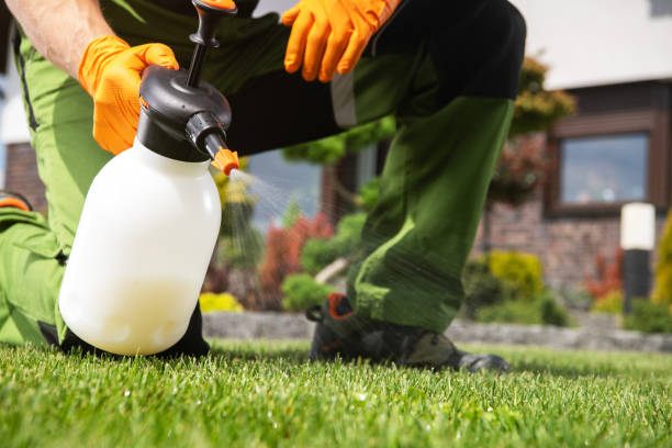 Best Flea Control Services  in Lewistown, IL