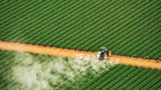 Best Termite Control Services  in Lewistown, IL
