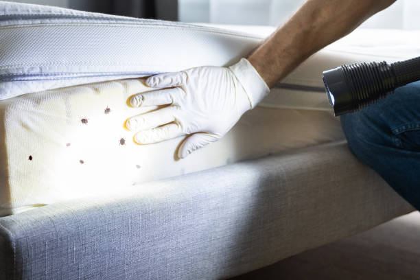 Best Emergency Pest Control  in Lewistown, IL