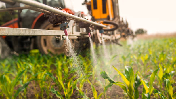 Best Pest Removal Services  in Lewistown, IL