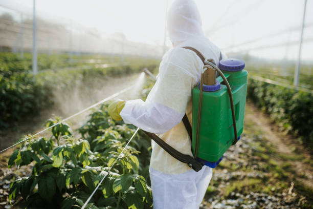 Best Affordable Pest Control Services  in Lewistown, IL